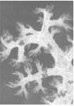 1570787229(1) 1570787229(1)