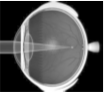 1570787304(1) 1570787304(1)