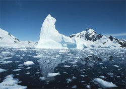 气候变暖使北极的海冰日趋减少 气候变暖使北极的海冰日趋减少