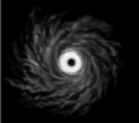 1571914242(1) 1571914242(1)