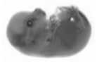1571914296(1) 1571914296(1)