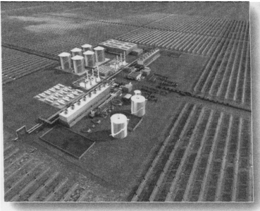 1572673952(1) 1572673952(1)