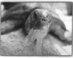 1572684485(1) 1572684485(1)