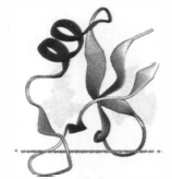 1573093364(1) 1573093364(1)