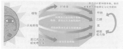 从阳光到燃料的四种实现途径 从阳光到燃料的四种实现途径