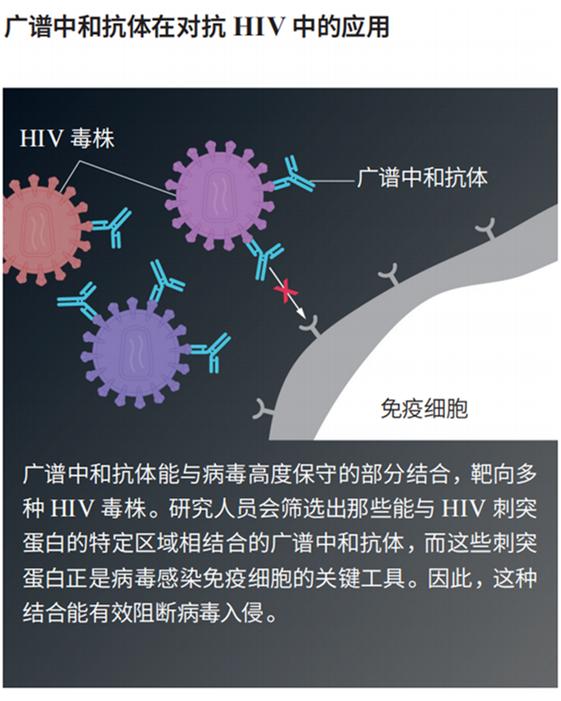 8.1.3 8.1.3