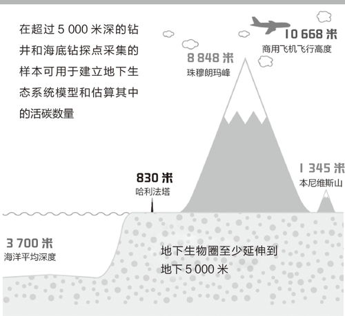 图片2 图片2
