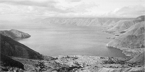 气候变化对于生物生存有较为重要的影响