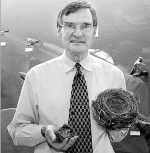 格拉斯哥大学名誉高级研究员汉塞尔致力于探索动物建筑的奥妙