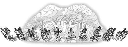 漂浮的沙尘土及其影响_石左虎 漂浮的沙尘土及其影响_石左虎