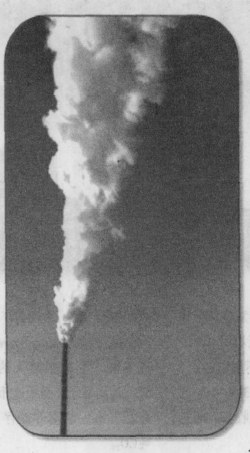 1572678601(1) 1572678601(1)