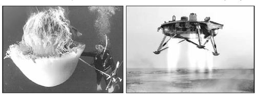 1573785750(1) 1573785750(1)