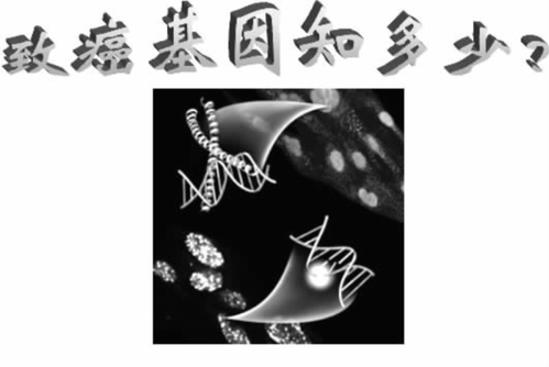 图片1 图片1
