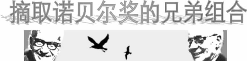 图片1 图片1
