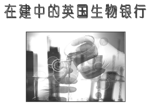 图片1 图片1