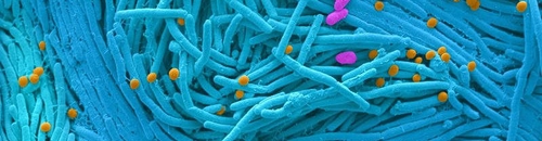 d41586-019-01654-0_16740844 d41586-019-01654-0_16740844