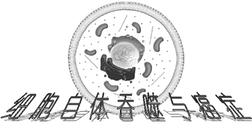 图片2 图片2