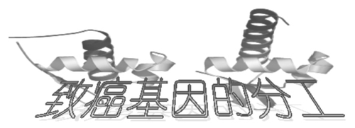 图片1 图片1