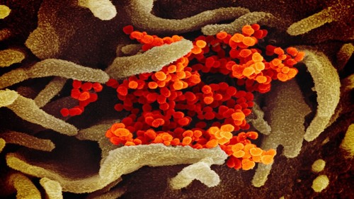 coronavirus-outbreak-COVID-19 coronavirus-outbreak-COVID-19