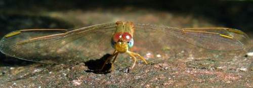image034 image034