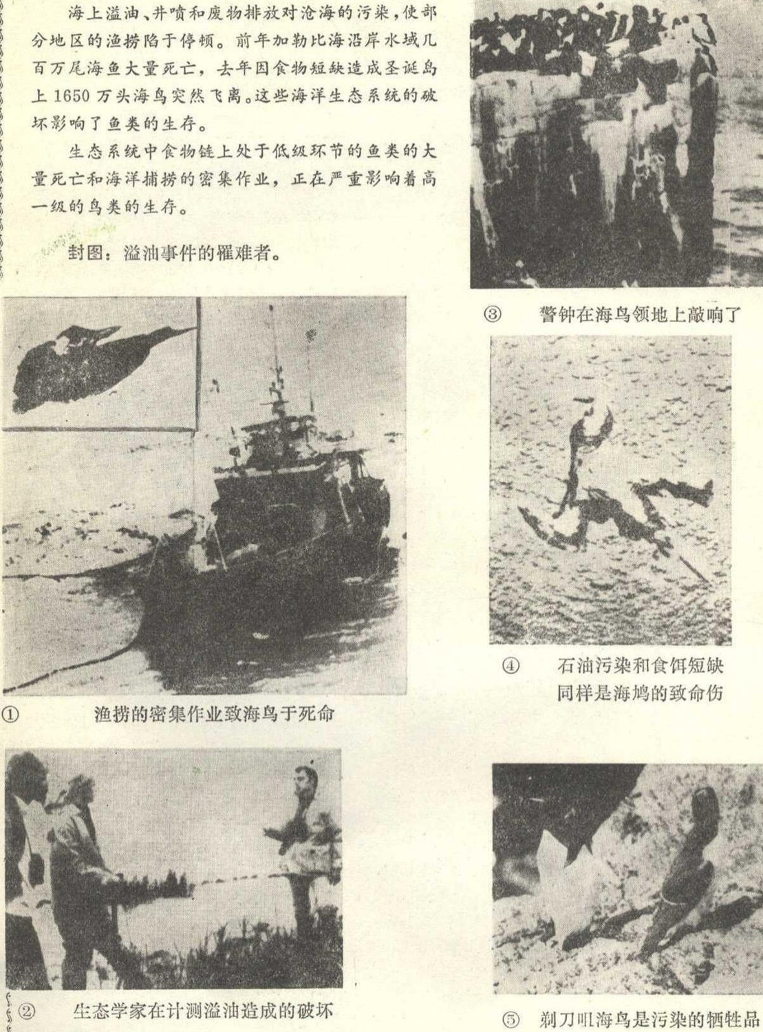 1 1