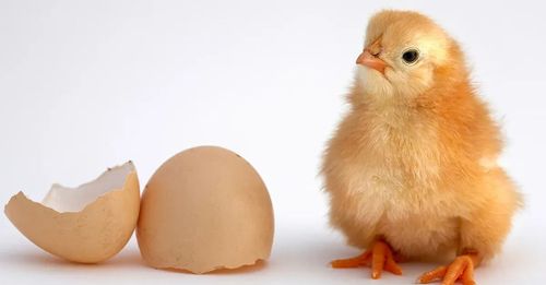 微信图片_20240516100327 微信图片_20240516100327