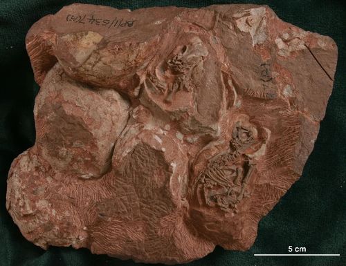 微信图片_20240516100345 微信图片_20240516100345