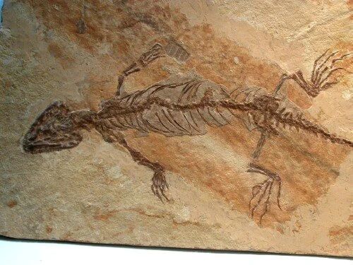 微信图片_20240516100351 微信图片_20240516100351