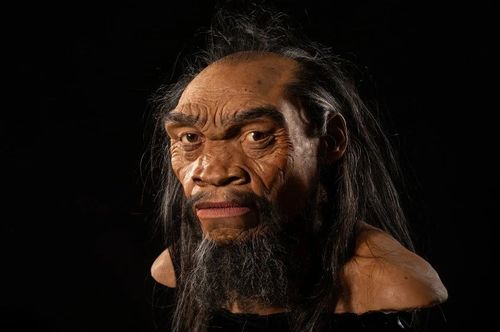 微信图片_20250624080611 微信图片_20250624080611