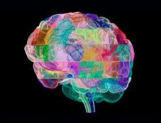 (Image: E.M. Pasieka/Science Photo Library/Corbis)