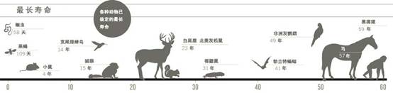 说明: 图1