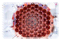 说明: http://www.nature.com/polopoly_fs/7.14411.1387275450!/image/LUX_View-of-the-bottom-PMT-holder_2.jpg_gen/derivatives/landscape_630/LUX_View-of-the-bottom-PMT-holder_2.jpg