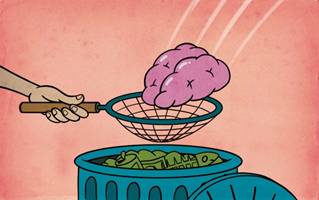 10-微信-欧洲脑科学