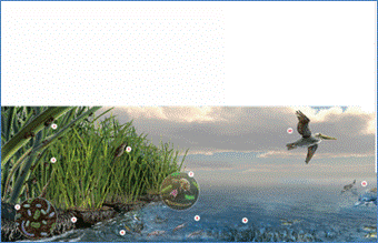 http://www.sciencemag.org/content/348/6230/22/F3.medium.gif