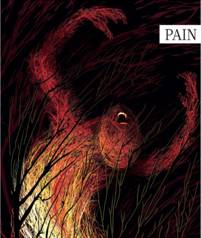 http://www.nature.com/nature/outlook/pain/images/cover_large.jpg